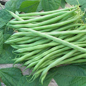 Beans - Vithai Avarai