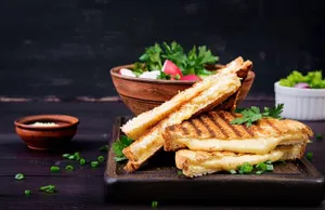 Veg Grilled Sandwich