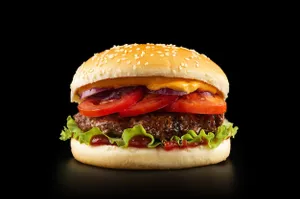 Chicken Patty Burger
