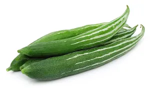 Snake Gourd - Pudalangaai