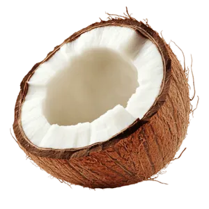 Coconut